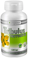 Kompava Tribulus Terrestris (Kotvičník zemní), 120 kapslí