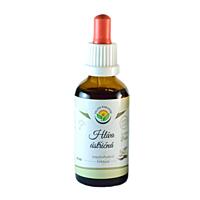 Salvia Paradise – Hlíva ústřičná, tinktura bez alkoholu, 50 ml 