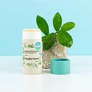 Kvítok Přírodní tuhý deodorant chladivý vánek, 45 ml