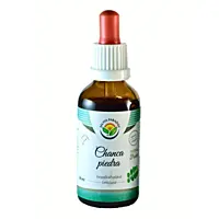 Salvia Paradise Chanca piedra tinktura bez alkoholu, 50 ml