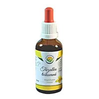 Salvia Paradise Třezalka tečkovaná tinktura bez alkoholu, 50 ml