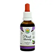 Salvia Paradise Plicník lékařský tinktura bez alkoholu, 50 ml