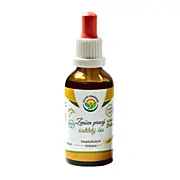Salvia Paradise Ženšen pravý 6letý tinktura bez&nbsp;alkoholu, BIO 50 ml
