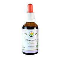 Salvia Paradise – Bakopa drobnolistá (Brahmi) tinktura bez alkoholu, 50 ml 