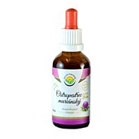 Salvia Paradise – Ostropestřec mariánský, tinktura bez alkoholu 50 ml