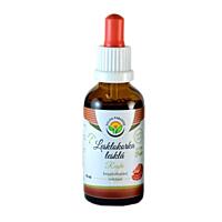 Salvia Paradise – Lesklokorka lesklá (Reishi) tinktura bez alkoholu, 50 ml