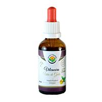 Salvia Paradise – Kočičí dráp (Vilcacora) tinktura bez alkoholu, 50 ml