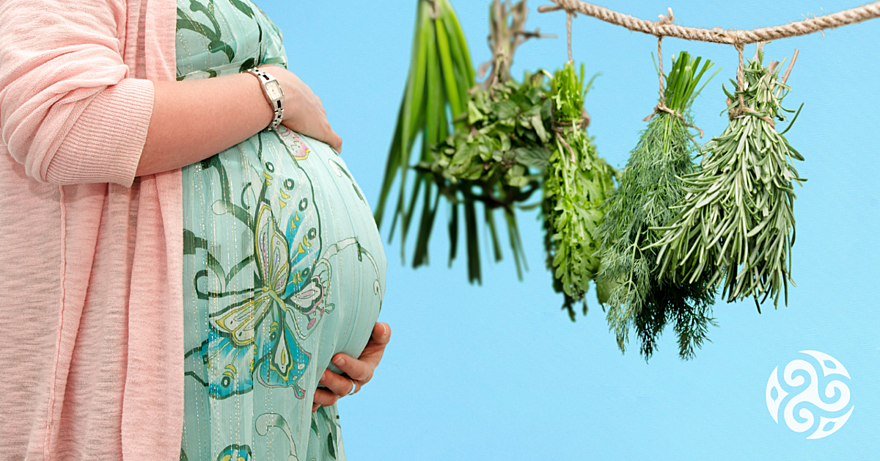 Jaké bylinky v těhotenství můžete užívat a které jsou zakázané?