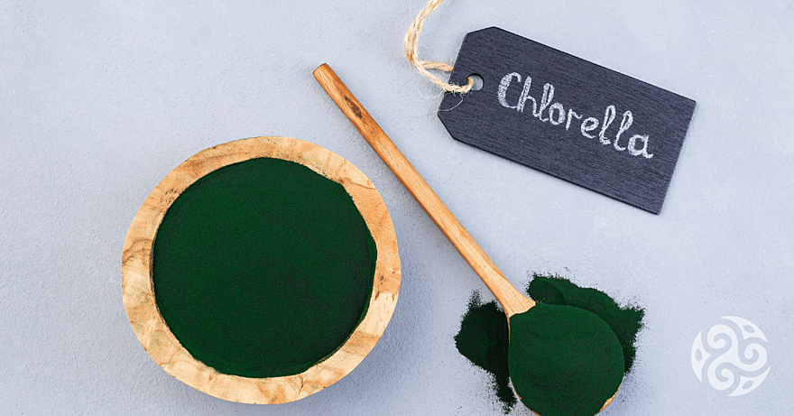 Nejlepší chlorella: žebříček top produktů a čeho si všímat při výběru