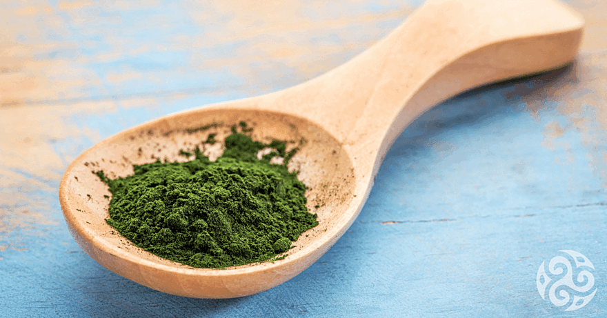 Chlorella a její účinky: kompletní průvodce