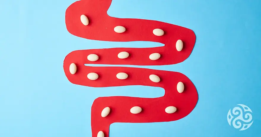 Jak správně užívat probiotika? Doporučené dávkování a délka užívání