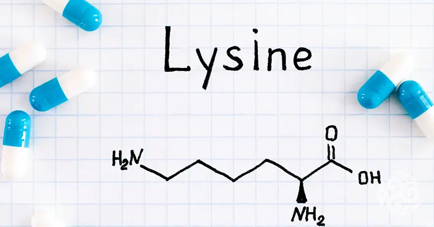 K čemu je dobrý L-lysine: seznam všech účinků a jaké jsou ty nežádoucí?