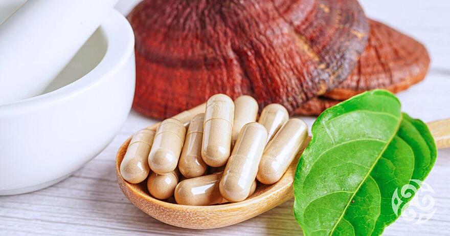 Jak poznat, která reishi je nejlepší? + Tipy i recenze na kvalitní produkty