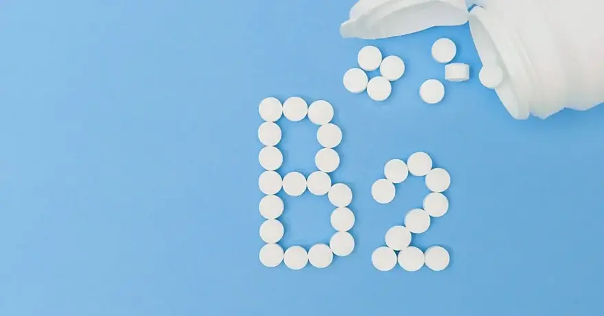Vitamín B2 (riboflavin): proč je důležitý a jak ho správně doplňovat?