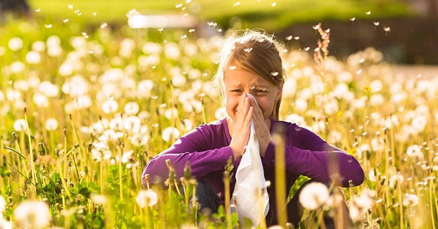 Alergická rýma, její příznaky a co dělat, abyste se jí zbavili