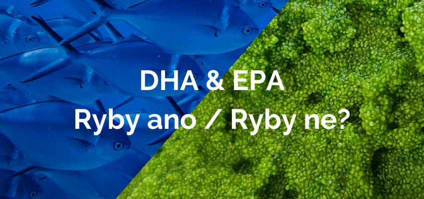 Omega 3 DHA & EPA: Ryby ano / Ryby ne?